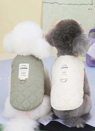 Одежда для собак.