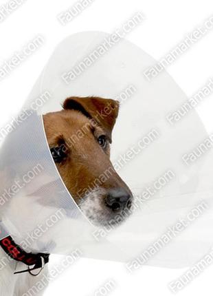 Воротник пластиковый для животных - 25см m высота 44-50см
