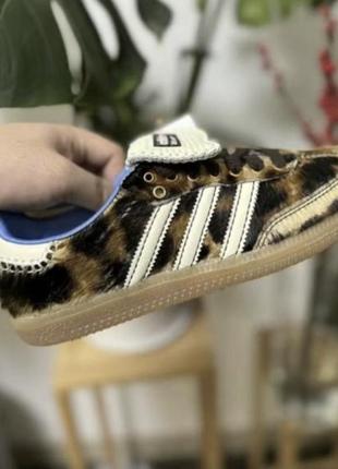 Кеди адідас , adidas’s
