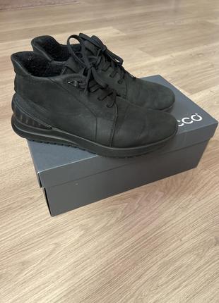 Ecco1 фото