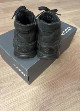 Ecco2 фото
