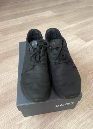 Ecco3 фото