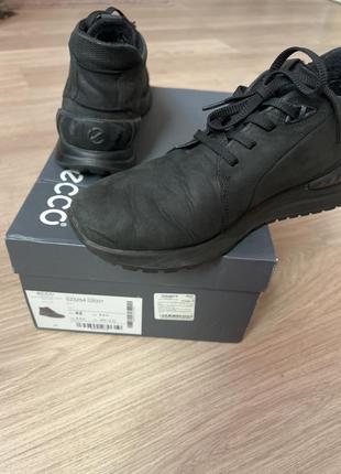 Ecco5 фото