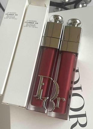 Глянцевий блиск-плампер відтінок 029