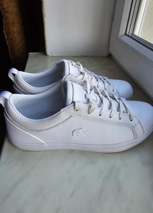 Кроссовки lacoste, оригинал