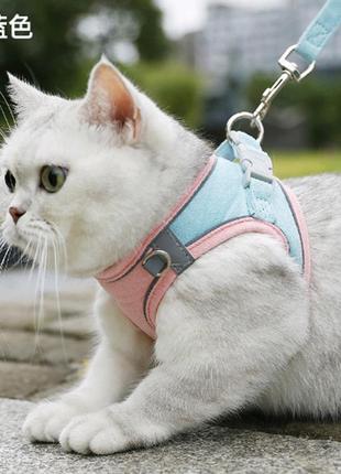 Нагрудник + повідець "замш" розмір  l, рожево-блакитний