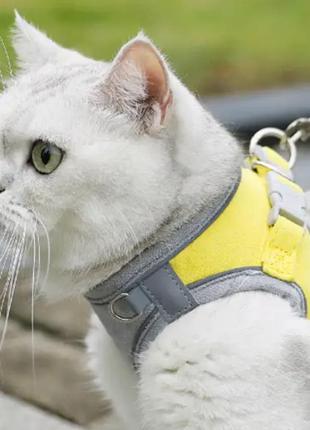 Нагрудник + повідець "замш" розмір s, жовто-сірий