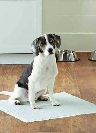 Одноразовые пеленки для собак kotix premium, 60*90см (50шт/уп)2 фото