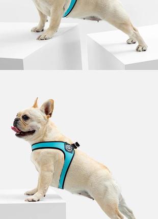 Нагрудной ремень шлейка-жилет ремень безопасности для собак кошек6 фото