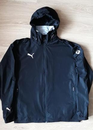 Puma. вітровка