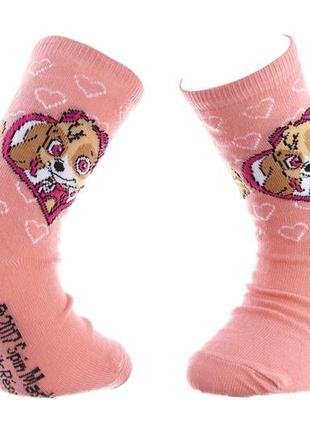 Шкарпетки paw patrol stella et rayures білий діт 31-35, арт.83150594-7