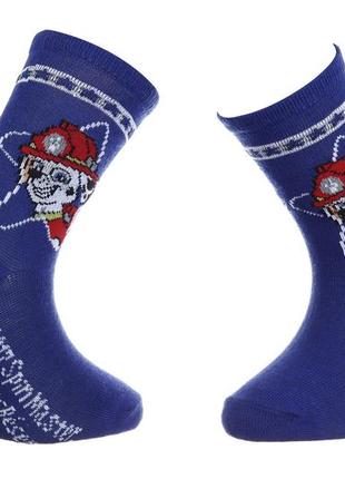 Шкарпетки paw patrol tete marcus dans etoile синій діт 19-22, арт.43890847-3