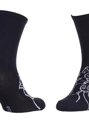 Шкарпетки princess blanche neige чорний, сірий діт 36-41