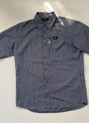 Мужская рубашка haglofs