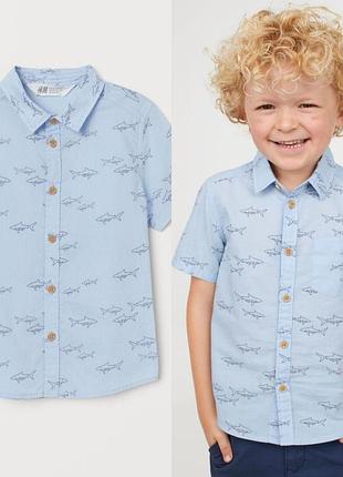 Сорочка з акулами бавовна h&m 134 см