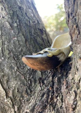 Башмачок аладина ✨ винтаж натуральный рог декоративный элемент копилка советская ручной работы