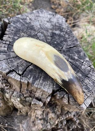 Башмачок аладина ✨ винтаж натуральный рог декоративный элемент копилка советская ручной работы