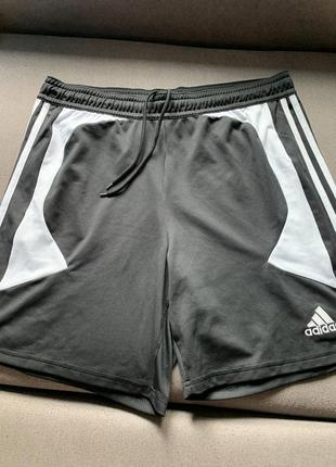 Мужские шорты adidas