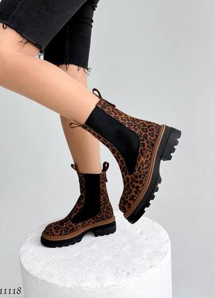 Жіночі черевики челсі із натурального велюру леопард 🐆 11118