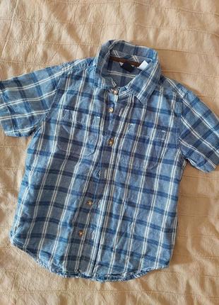 Сорочка baby gap 5yrs