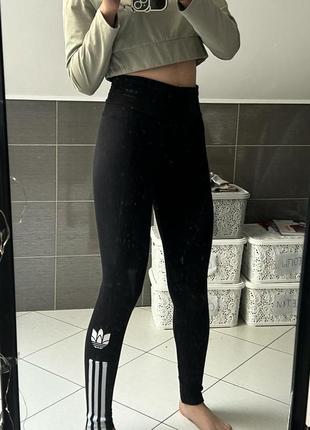 Лосіни adidas