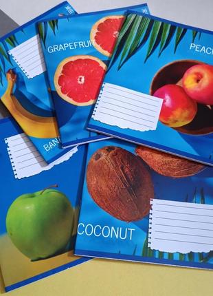 Тетрадь 36ар клетка лидер фрукти