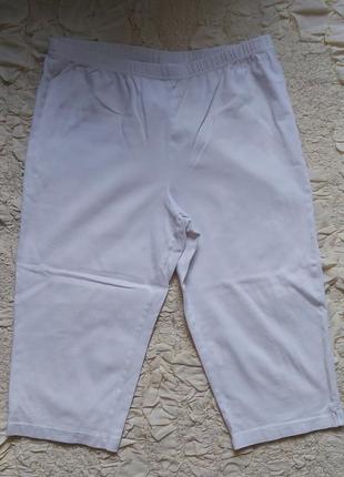 Бриджи капри  l-xl