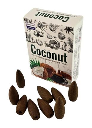 Coconut backflow cones (кокос)(darshan) конуси зі зворотним потоком