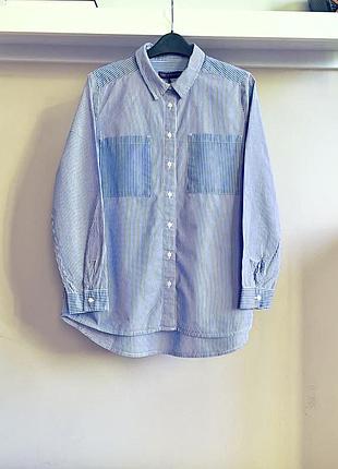 Бавовняна сорочка в блакитно-синю смужку