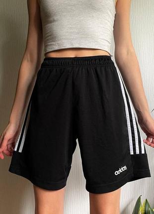 Шорты blancas adidas