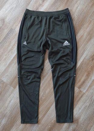 Мужские спортивные штаны adidas tan training climacool