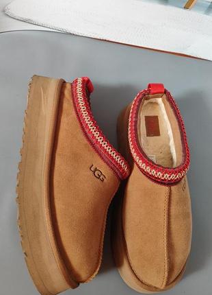 Ugg tazz
