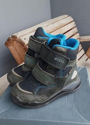 Ботинки сапоги ecco