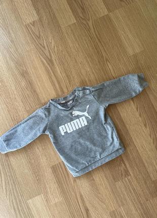 Світшот утеплений кофта