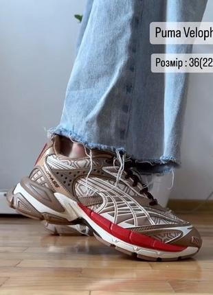 Распродажа! кроссовки puma velophasis