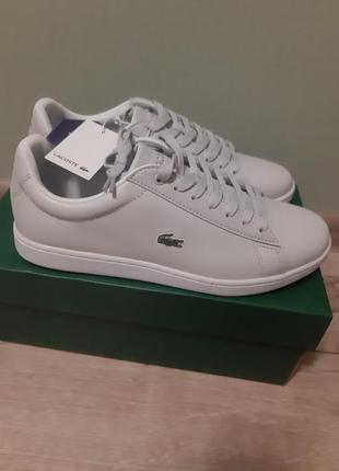 Новые кожаные кроссовки lacoste. оригинал из сша.