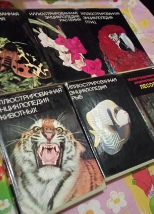 Иллюстрированная энциклопедия лесов, птиц, растений, насекомых, рыб и животных
