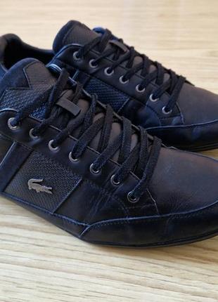 Красотки мужские lacoste 47 размер (столка 31см) original (кожа)