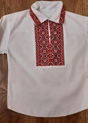 Вишиванка для хлопчиків на вік 2-3 роки,пог 35 см,довжина 43 см,рукав від плеча 32 см