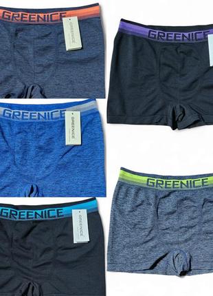Трусы мужские бесшовные бамбук greenice