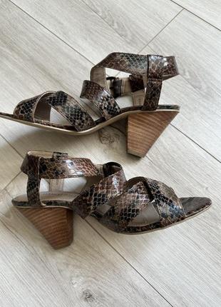 Босоножки сандали на каблуке со змеиным принтом marco tozzi2 фото