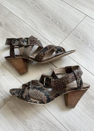 Босоножки сандали на каблуке со змеиным принтом marco tozzi3 фото