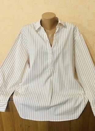 Котонова смугаста сорочка блуза великого розміру1 фото