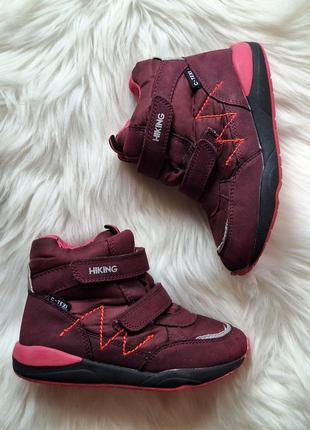 Термо сапожки, демі чобітки, чоботи, sprox 27 р