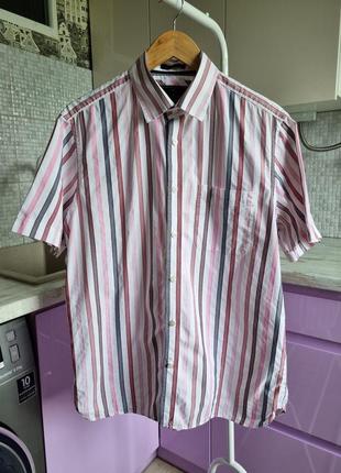 Чоловіча смугаста літня брендова топова біла рожева чоловіча бавовняна сорочка шведка теніска у смужку l m&s luxury кежуал casual на літо