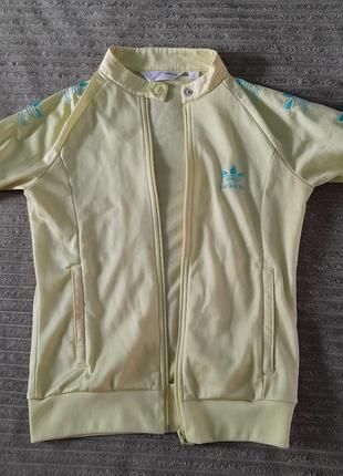 XL / 56