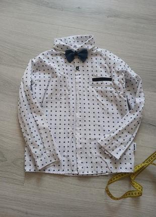 Рубашка с бабочкой