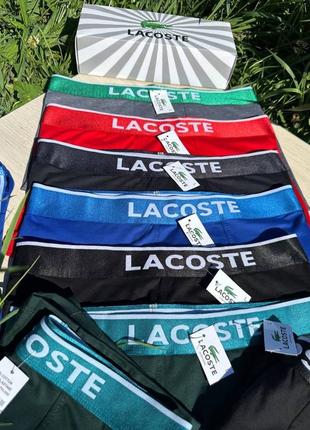 Набір чоловічих трусів lacoste. чоловіча спідня білизна m,l,xl,xxl
