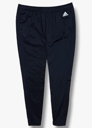 Жіночі спортивні штани adidas на утяжках