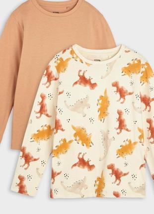 Лонгсліви sinsay